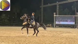  السيرة لهلالية بصوت الشاعر علي جرمون وخليفة الزناتي في مواجهة اأبو زيد لهلالي دندنها
