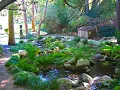 A Nick Williams Online Garden Tour  - A Railroad Runs Through It (Krav)