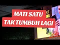 Lagu Mati Satu Tak Tumbuh Lagi