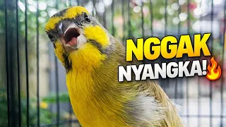 diakira diam tiba tiba mozambik ini balas tanpa berhenti 