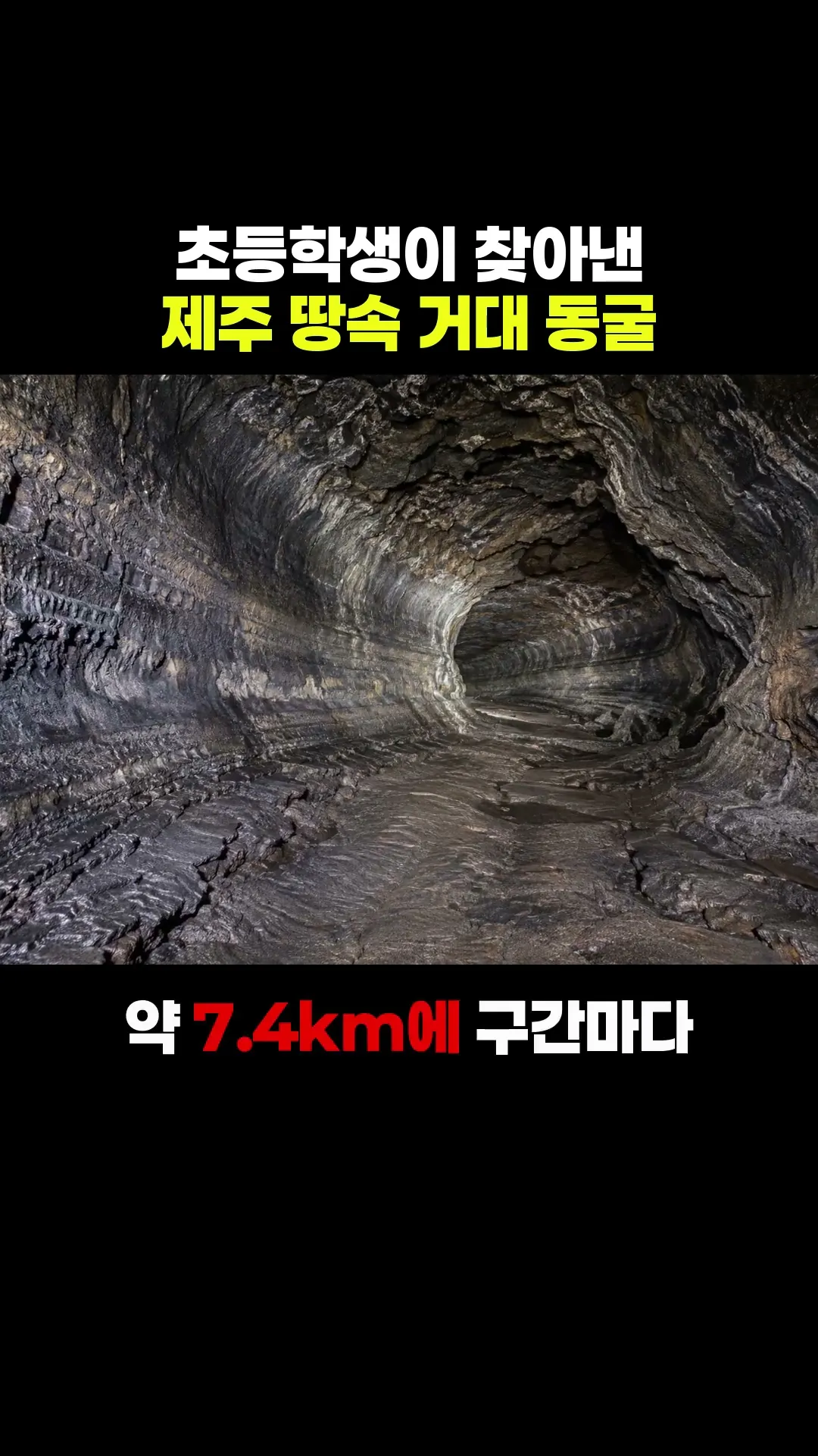 아이들이 찾은 구멍이 제주 거대 동굴이었다 #shorts