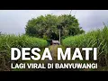 Lagu VIRAL..! DESA MATI YANG LAGI VIRAL DI BANYUWANGI