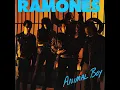 Somebody Put Something in My Drink - Ramones
