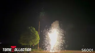                              دندنها