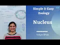 Nucleus Structure Nuclear envelope Pore Nucleoplasm Matrix Chromatin fibre Nucleolus