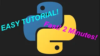 How to Print Text Letter-By-Letter with Python quick easy