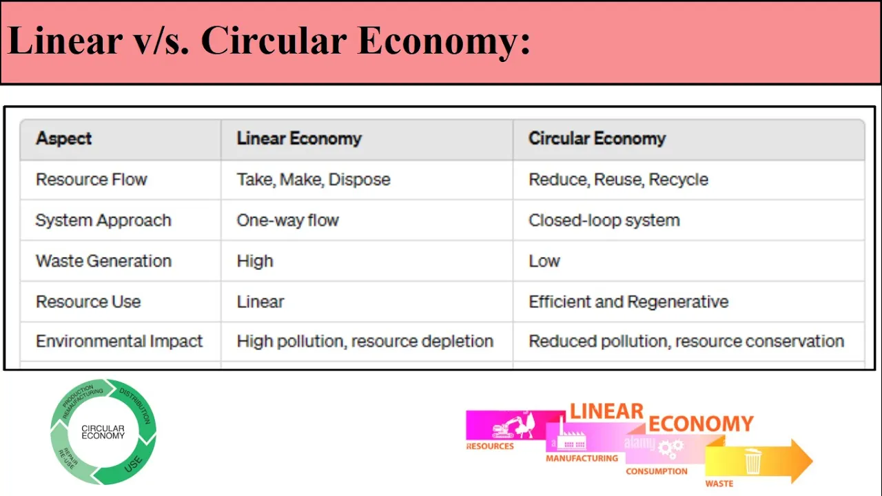 Difference Between Circular Economy and Linear Economy || circular economy vs linear Economy || MBA