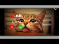 SMS RINGTONE PHONE || NOTIFICATION RINGTONE 2024 || #mp3ringtone #mp3ringtone #slowedandreve
