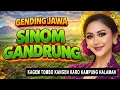 Lagu NGLARAS GENDING JAWA PALARAN SINOM GANDRUNG, TOMBO KANGEN KAMPUNG HALAMAN WAYAH CILIK
