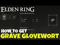 Elden Ring How to Get Grave Glovewort 1 2 3