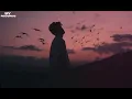 Duniya Alag (Slowed + Reverb) | Arijit Singh | Dhadak 2/hk_songs
