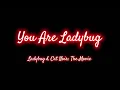 Download Lagu You Are Ladybug - Ladybug \u0026 Cat Noir: The Movie | Karaoke | colour-coded lyrics and roles