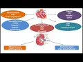 Machine Learning-Enhanced Clinical Diagnostic Solutions for Diabetic Kidney Disease