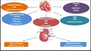 Machine Learning-Enhanced Clinical Diagnostic Solutions for Diabetic Kidney Disease