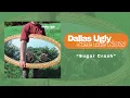 Download Lagu Dallas Ugly - \