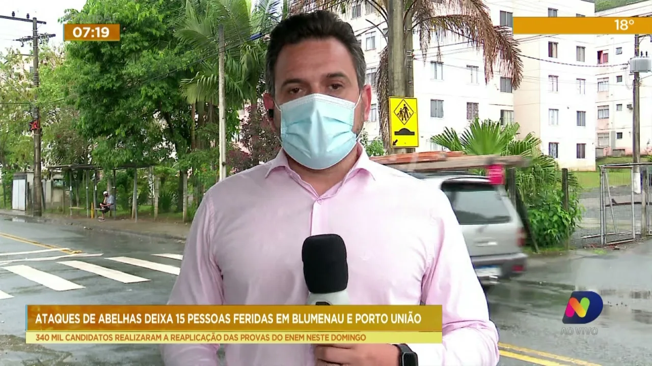 Ataques de abelhas deixam 15 pessoas feridas em Blumenau e Porto União