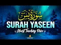 Lagu Surah Yaseen (Yasin) with Urdu translation | Mishary Rashid Alafasy | سورۃ  یس  | Quranwaale