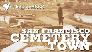 Colma San Francisco S Cemetery Town I The Feed  Colma San Francisco S Cemetery Town I The Feed