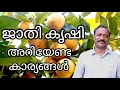 Lagu ജാതി കൃഷി | jathi krishi malayalam |nutmeg kerala |krishi | krishi kerala |agriculture kerala