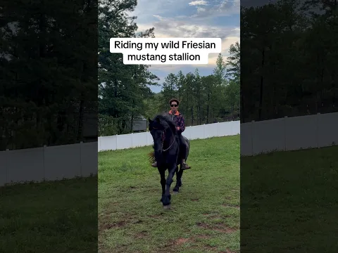 Riding My Stallion