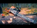 NEW HUSQVARNA 592 XP AND 585 Best Chainsaws for 2021