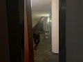 Stalker breaks into hotel