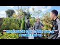 Download Lagu 🌱🇷🇺 ORnamental Plants Business in RUSSIA – SOWING SEEDS FOR A WHOLE GREEN SEASON 🇷🇺🌱