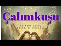 Download Lagu 👉 Çalımkuşu –  Instrumental | Beste \u0026 Düzenleme: Ergün Ekşi