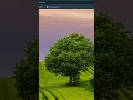weather app using HTML CSS JS tutorial