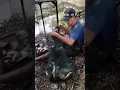 Download Lagu Detik2 perangkap dimasukki kawanan ikan tebakang