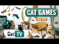 Download Lagu CAT Games | Ultieme Cat TV-compilatie Vol 172 | 8 UUR 🐝🐞🦋🦎🦜🐜🐭🧵