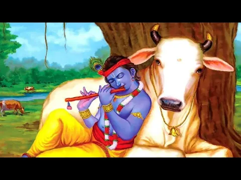 Download MP3 Amazing Sri Krishna Flute music for Relaxing,Deep sleep Mind and body  Meditation,Stress relief