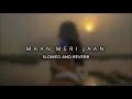 Maan Meri Jaan - King || LOFI SONG || (SLOWED & REVERB)