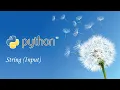 Python String Input