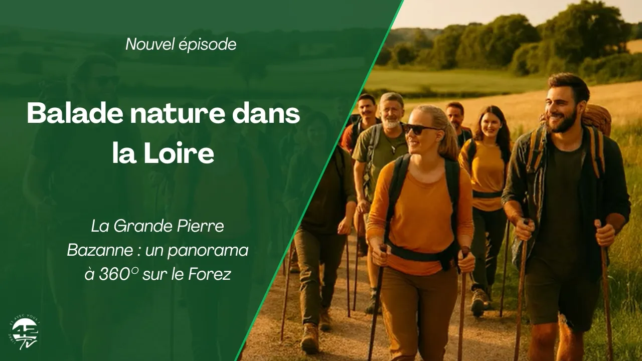 ⁣La Grande Pierre Bazanne : le rocher qui fait perdre le nord !