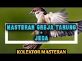 Download Lagu MASTERAN GEREJA TARUNG + JEDA[masteran cendet, cucak ijo\u0026 murai batu] MP3