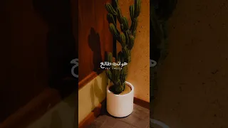 هو انت طالع حلو لمين اغنيه مسكر خطر دلوقتي نزلة كامله 