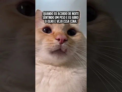 Raramente mas acontece sempre 😂