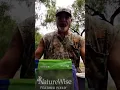 What I feed