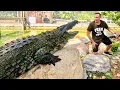 Private Tour of World s BEST Alligator Park