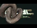 HW accelerated 3D using TypeScript WebGL 2 0