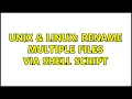 Unix Linux Rename multiple files via shell script 2 Solutions