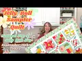 Jelly Roll Sampler Quilt 2023 National Sew a Jelly Roll Day Quilt