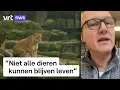 Download Lagu Moeten dierentuinen gezonde dieren doden om overpopulatie tegen te gaan?