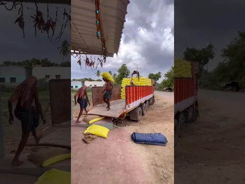 Urea Impact In India #shorts