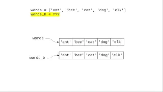 Chapter 9 List Aliasing