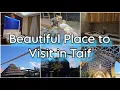 Download Lagu From Jeddah to Taif Vlog 2023 | Places to visit in Taif Saudi Arabia