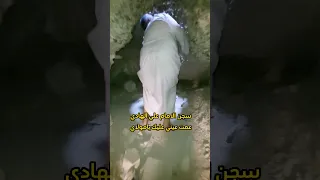 سجن الامام علي الهادي كرار عبد الامير 