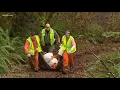 Clallam County inmates clean up community