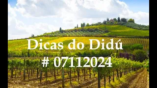 Dicas do Didú #07112024